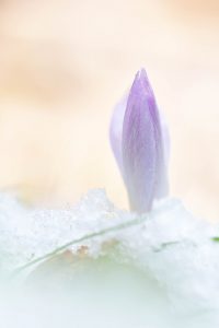 Osterspaziergang mit Ines Mondon © Ines Mondon