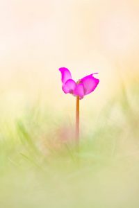 Osterspaziergang mit Ines Mondon © Ines Mondon