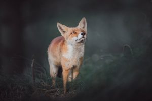 Wenn's Fotografieren keinen Spaß mehr macht © Kevin Winterhoff