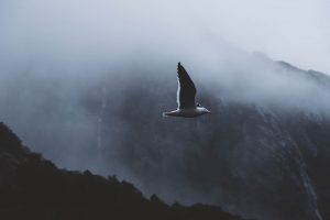 Wenn's Fotografieren keinen Spaß mehr macht © Maike Descher