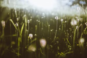 Ein Leben ohne Berge © Katharina Wildenhof