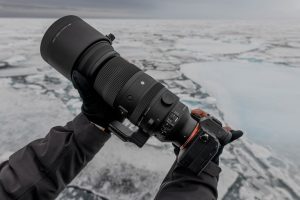 Arktisreise mit dem SIGMA 150-600mm F5-6,3 DG DN OS | Sports © Michael Ginzburg