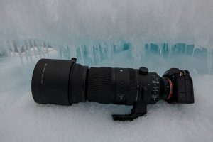 Arktisreise mit dem SIGMA 150-600mm F5-6,3 DG DN OS | Sports © Michael Ginzburg