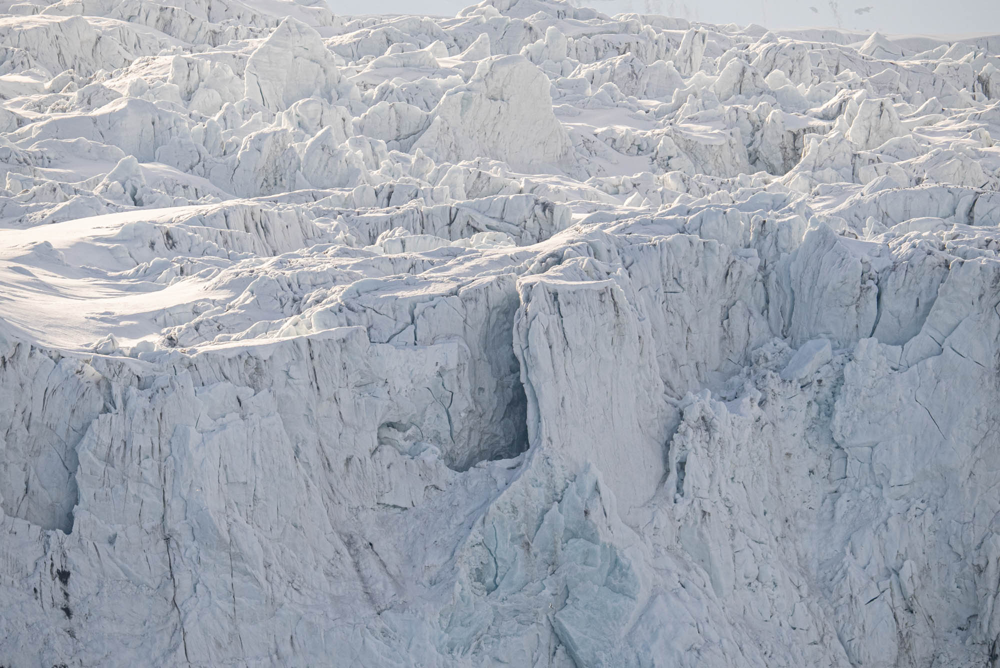 Arktisreise mit dem SIGMA 150-600mm F5-6,3 DG DN OS | Sports © Michael Ginzburg