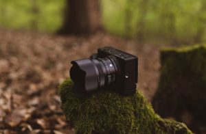 Die Kleine und das Biest –24mm F3,5 DG DN | Contemporary und fp L im Einsatz © Christopher Schmidtke