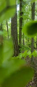Die Kleine und das Biest –24mm F3,5 DG DN | Contemporary und fp L im Einsatz © Christopher Schmidtke
