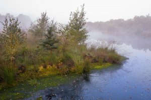 „Herbsttag“, ein Rilke Gedicht © Ines Mondon