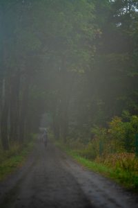 „Herbsttag“, ein Rilke Gedicht © Ines Mondon
