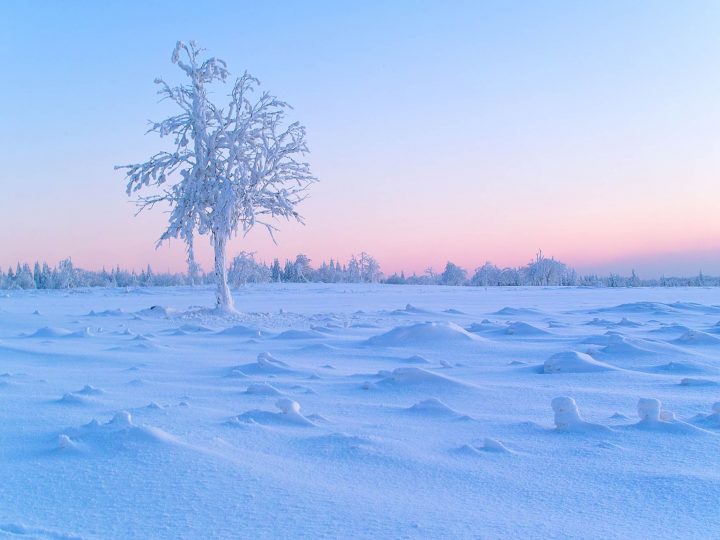 Faszination Winterfotografie © Ines Mondon
