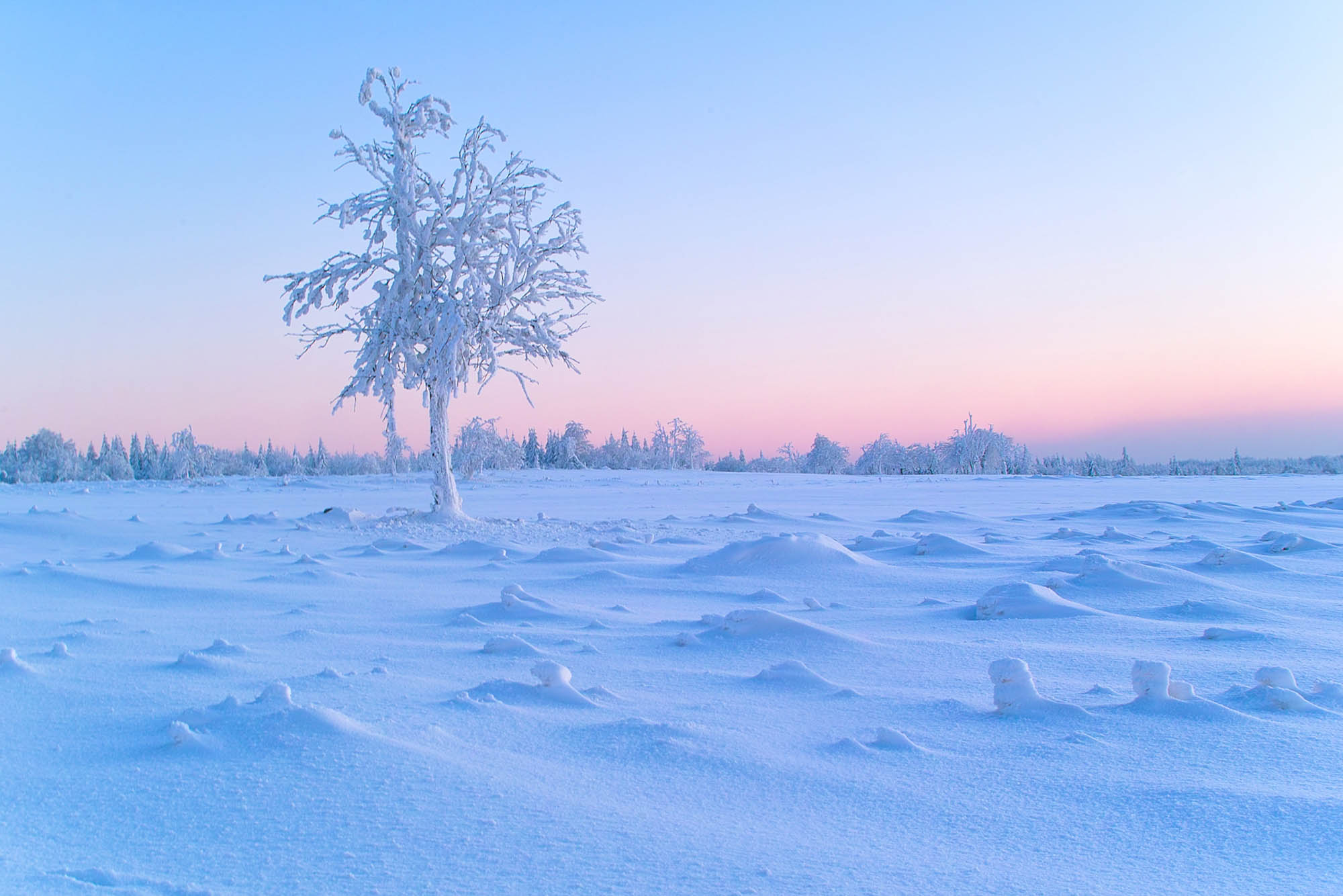 Faszination Winterfotografie © Ines Mondon