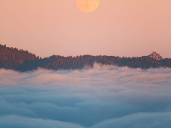 Auf Nebel-Suche. Drei Tipps zur Nebelfotografie © Florian Wenzel