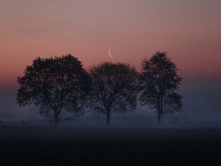 Auf Nebel-Suche. Drei Tipps zur Nebelfotografie © Florian Wenzel