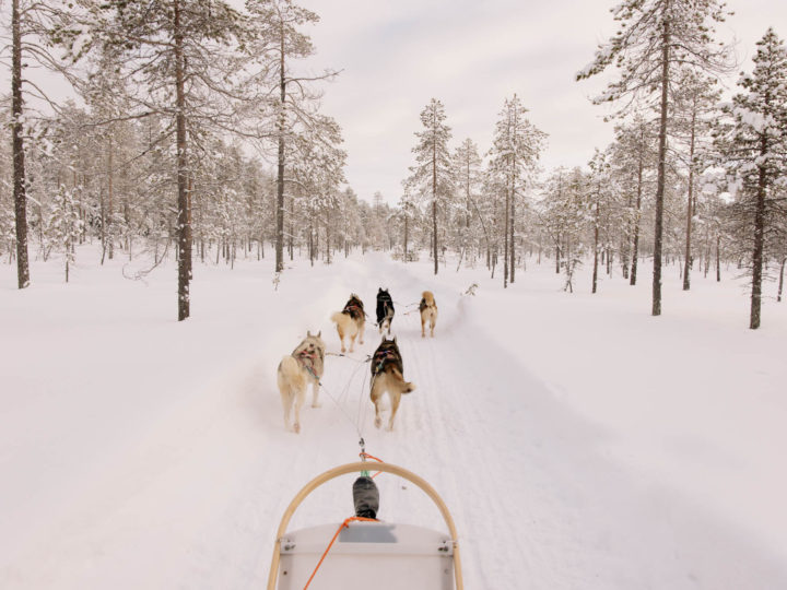 Winterliche Fotoreise nach Finnisch Lappland