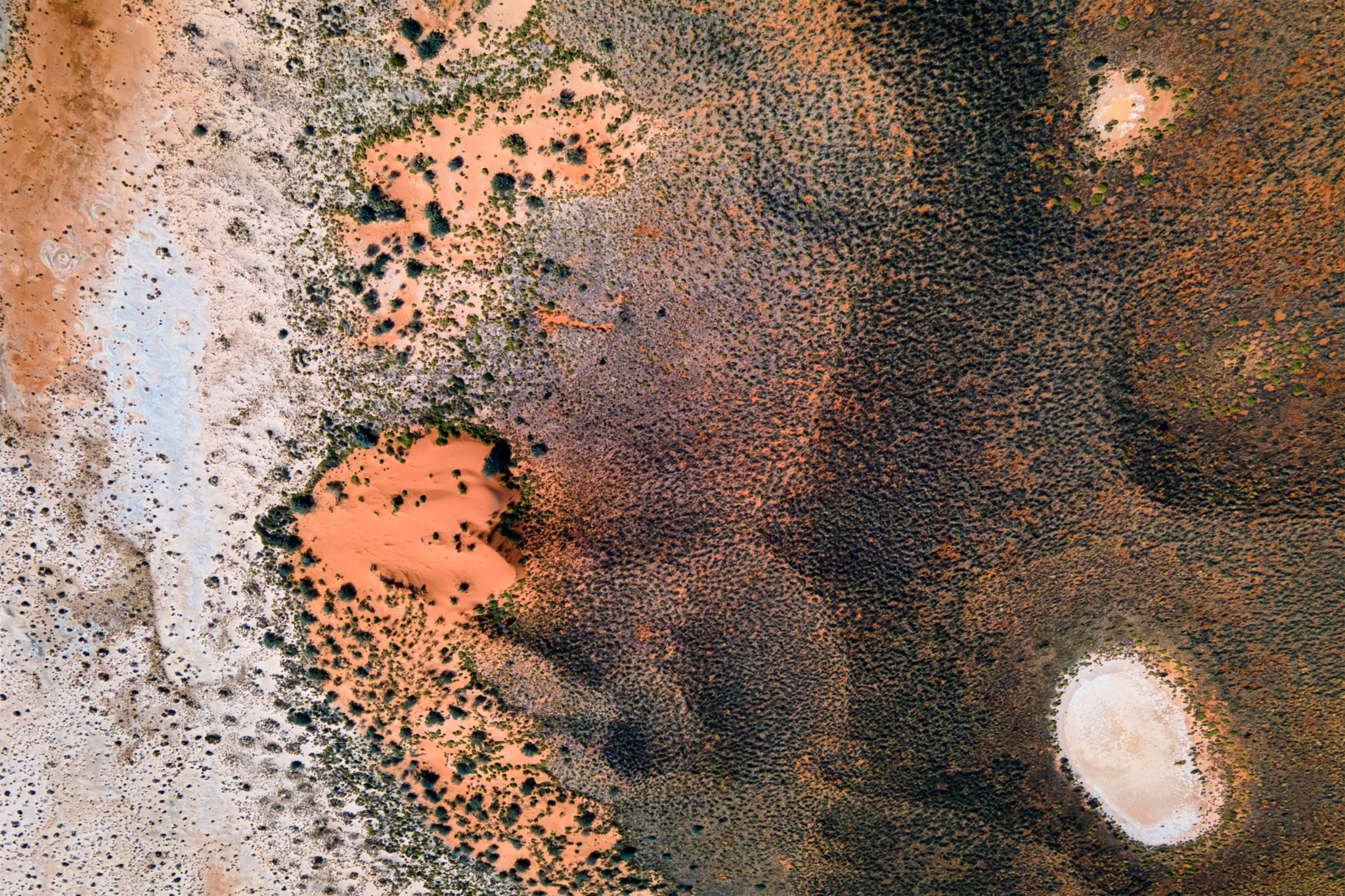 Auszeit in der Kalahari SIGMA BLOG