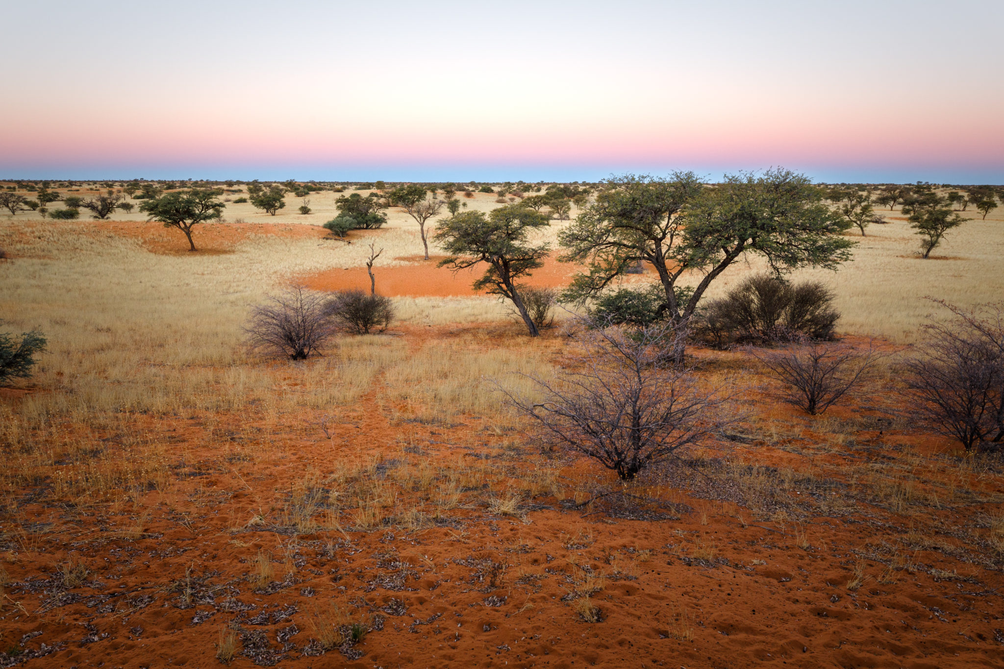 Auszeit in der Kalahari SIGMA BLOG