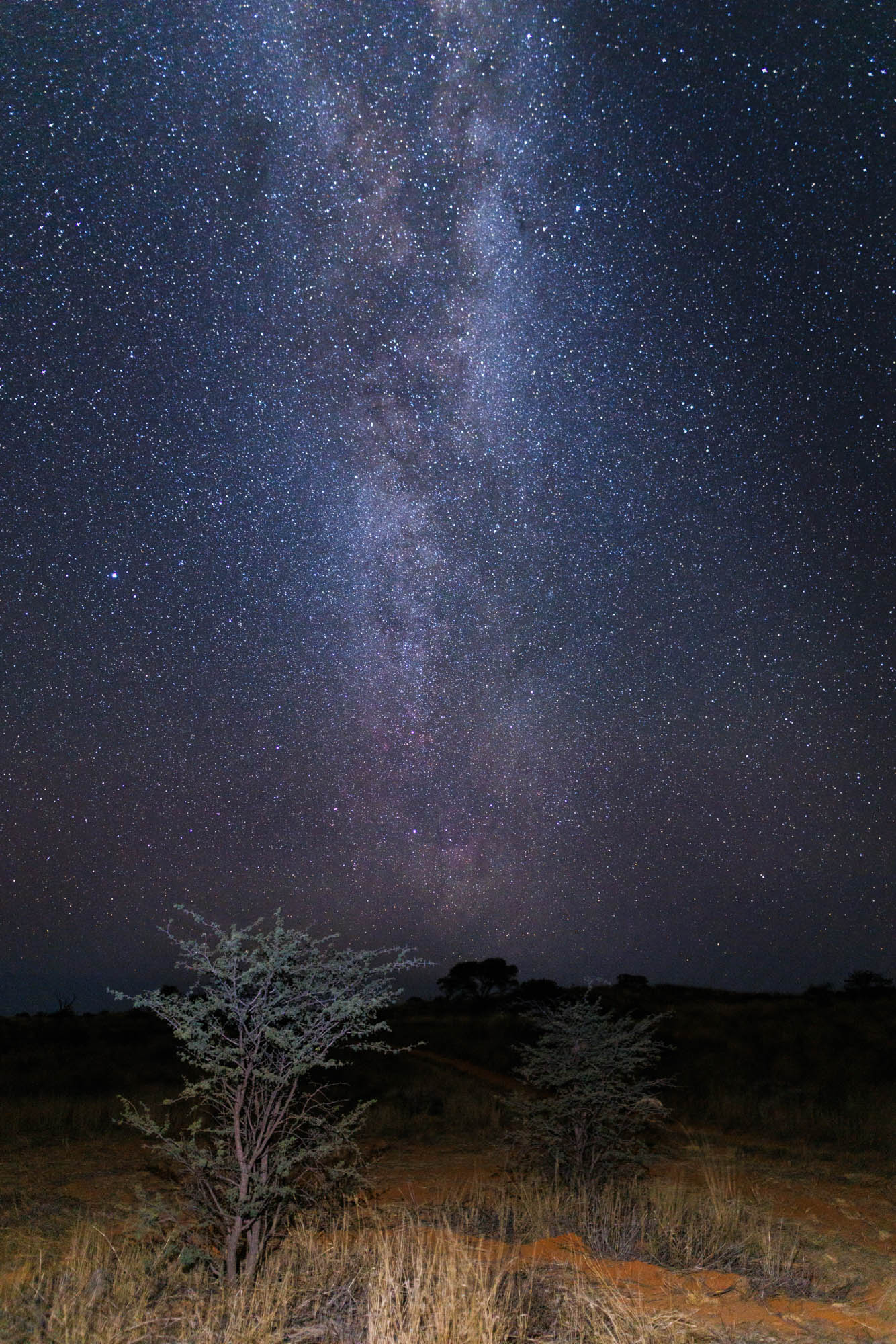 Sterne - ein geschenktes Feuerwerk! © Kevin Winterhoff
