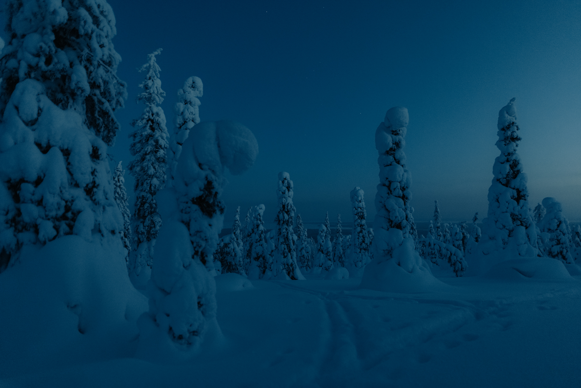 Low-Light-Fotografie in Finnland © Marina Weishaupt