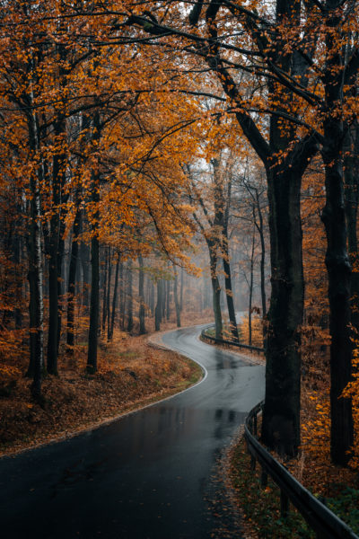 Die vier Jahreszeiten in der Sächsischen und Böhmischen Schweiz Gamrig im Herbst © Christiane Hube