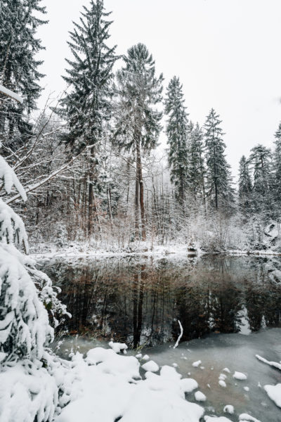 Die vier Jahreszeiten in der Sächsischen und Böhmischen Schweiz - Herkulessäulen im Winter © Christiane Hube