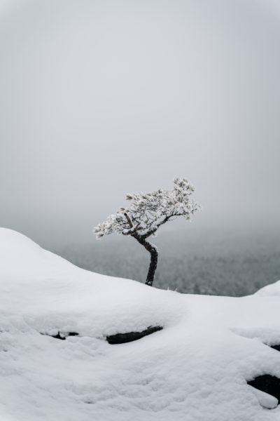 Die vier Jahreszeiten in der Sächsischen und Böhmischen Schweiz - Gohrisch im Winter © Christiane Hube