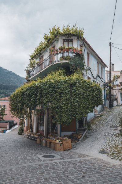 Inselerkundung durch Lesbos © Johannes Hulsch