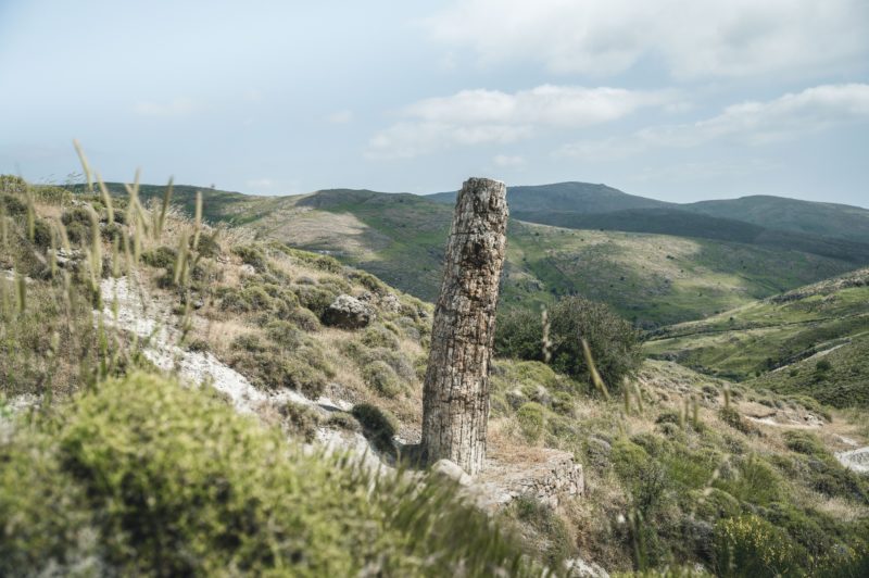 Inselerkundung durch Lesbos © Johannes Hulsch