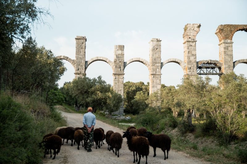 Inselerkundung durch Lesbos © Johannes Hulsch