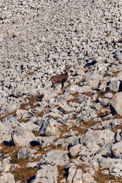 Alpine Herbstwanderung zum Hochwanner © Well Outside