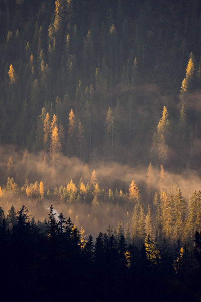 Alpine Herbstwanderung zum Hochwanner © Well Outside