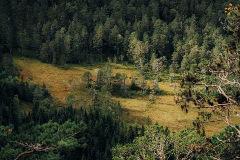 Wenn der Regen in Norwegen eine Pause macht © Maike Wittreck