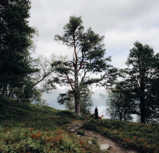 Wenn der Regen in Norwegen eine Pause macht © Maike Wittreck