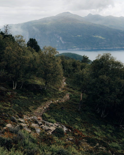 Wenn der Regen in Norwegen eine Pause macht © Maike Wittreck