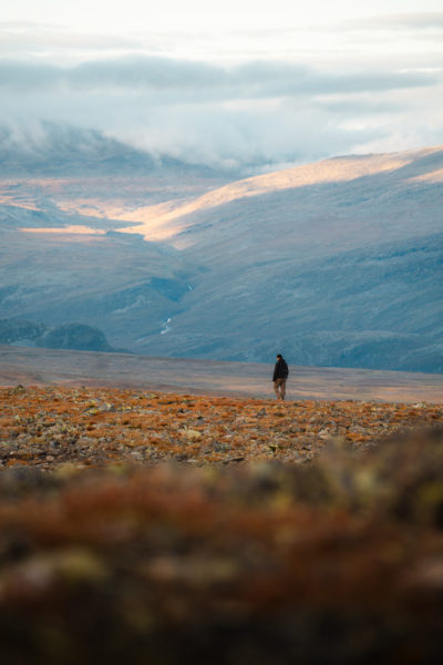 Unterwegs in der Wildnis Lapplands © Sebastian Mittermeier