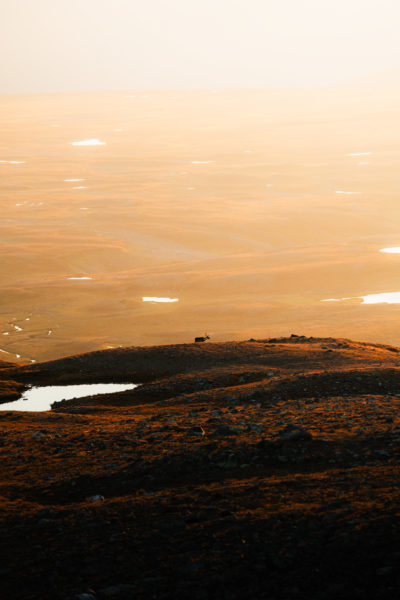 Unterwegs in der Wildnis Lapplands © Sebastian Mittermeier