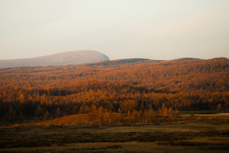 Unterwegs in der Wildnis Lapplands © Sebastian Mittermeier