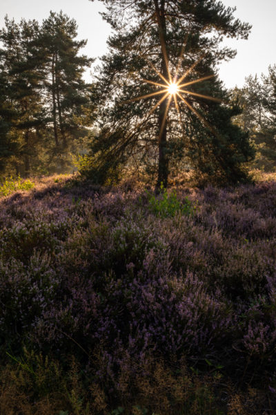 Allrounder für ambitionierte Naturfotografen © Daniel Spohn