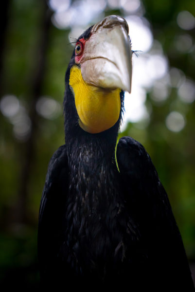 Mit kleinem Gepäck unterwegs in Asien © Guido Gronwald