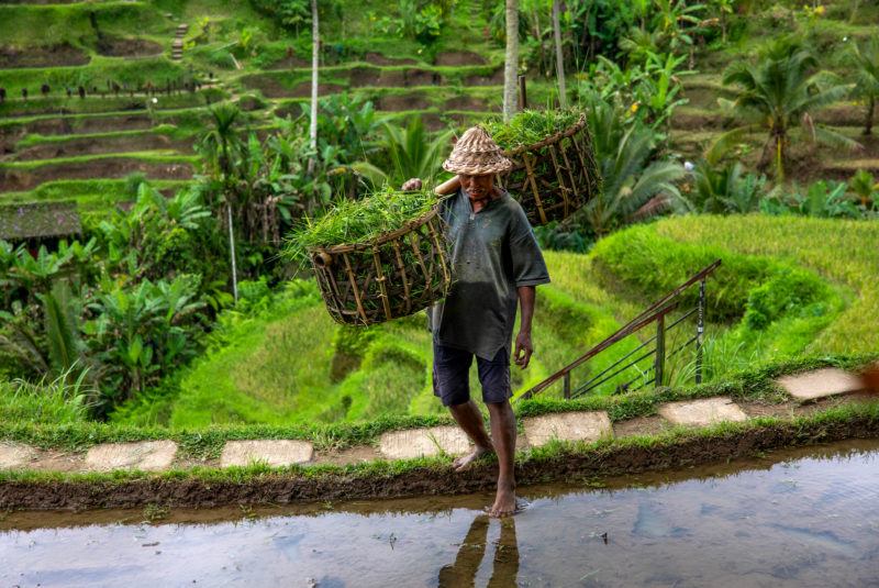 Mit kleinem Gepäck unterwegs in Asien © Guido Gronwald