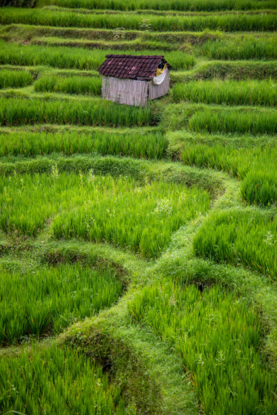 Mit kleinem Gepäck unterwegs in Asien © Guido Gronwald