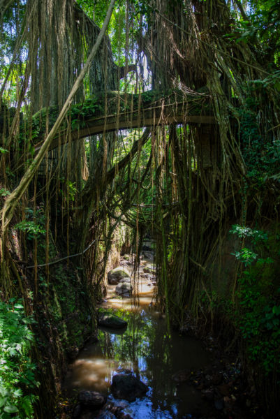 Mit kleinem Gepäck unterwegs in Asien © Guido Gronwald