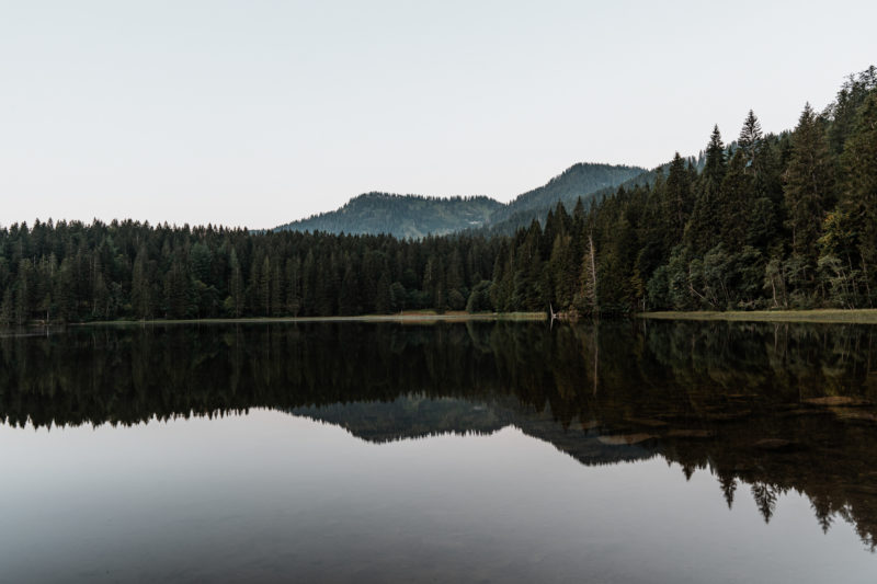 Ein 24-70mm Objektiv für die Naturfotografie? © Tim Glaeser