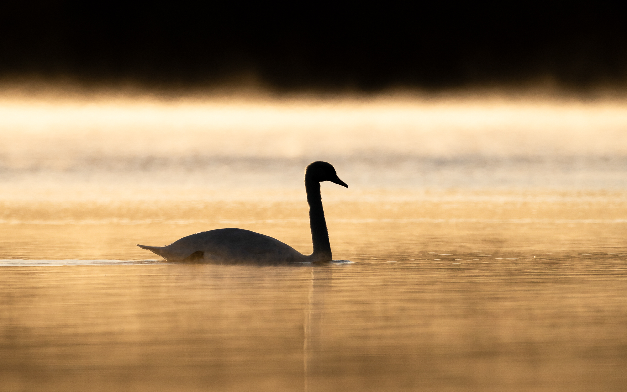 Naturfotografie vor der eigenen Haustür © Tim Glaeser