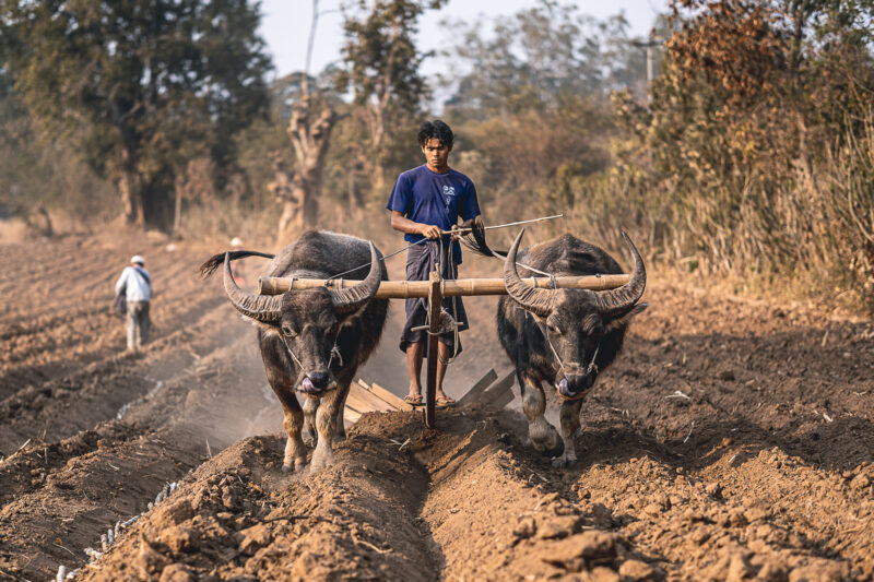 Unterwegs in Myanmar mit 56mm und 16mm © Tim Glaeser