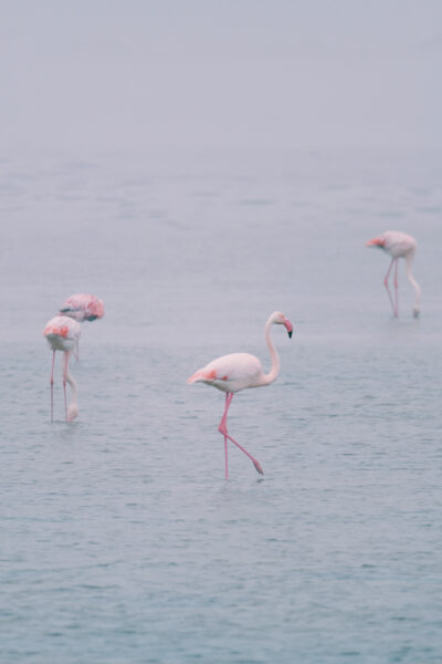 Tanz- und Reisefotografie © Carolin Thiergart