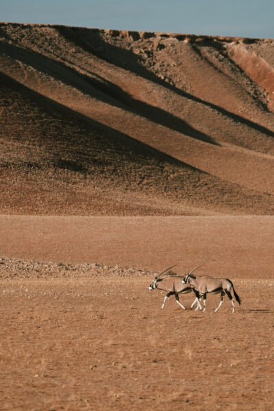 Tanz- und Reisefotografie © Carolin Thiergart