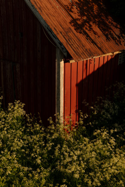 Reisen unter der Mitternachtssonne © Florian Wenzel