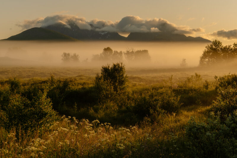 Reisen unter der Mitternachtssonne © Florian Wenzel