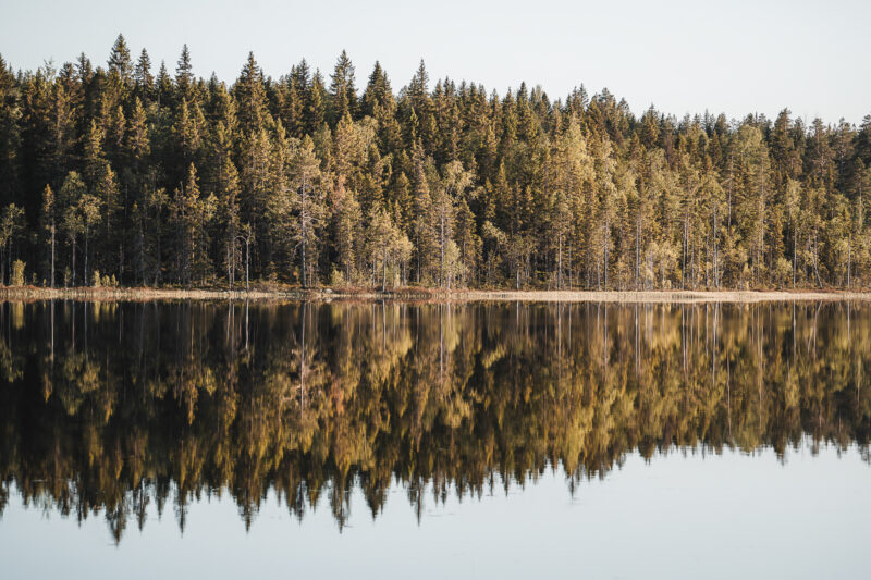 Skandinavische Lichtstimmung © Julia & Tim Glaeser