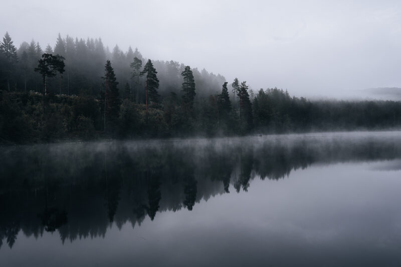 Skandinavische Lichtstimmung © Julia & Tim Glaeser