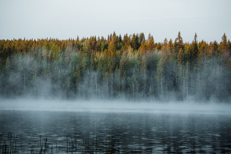 Skandinavische Lichtstimmung © Julia & Tim Glaeser
